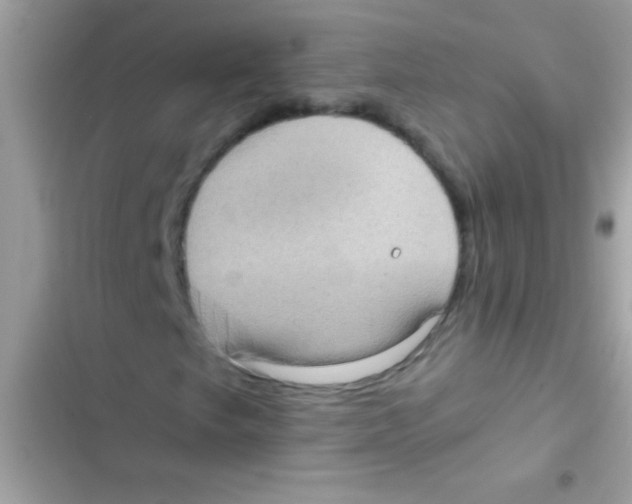 X0000103141249200809191956