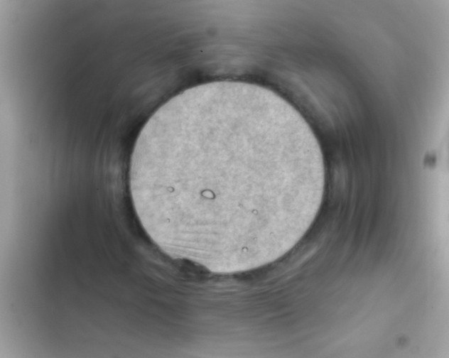 X0000103141250200809191956