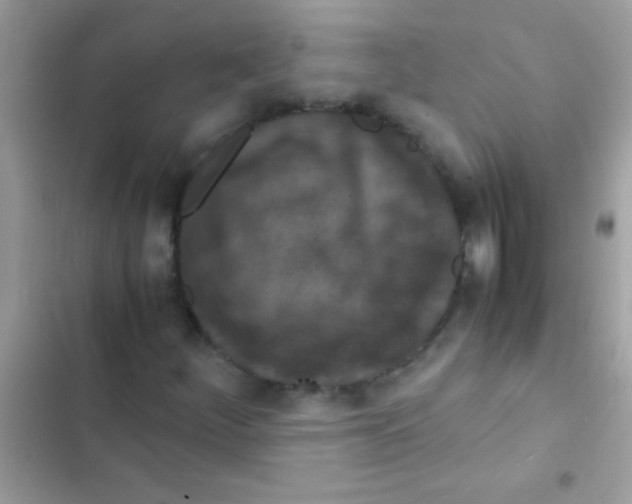 X0000103141252200809191956