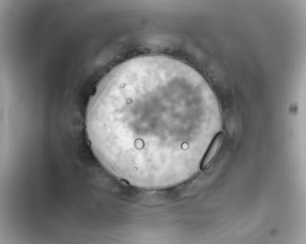 X0000103141253200809191956