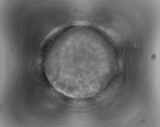 X0000103141254200809191956