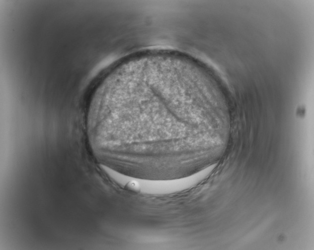 X0000103141255200809191956