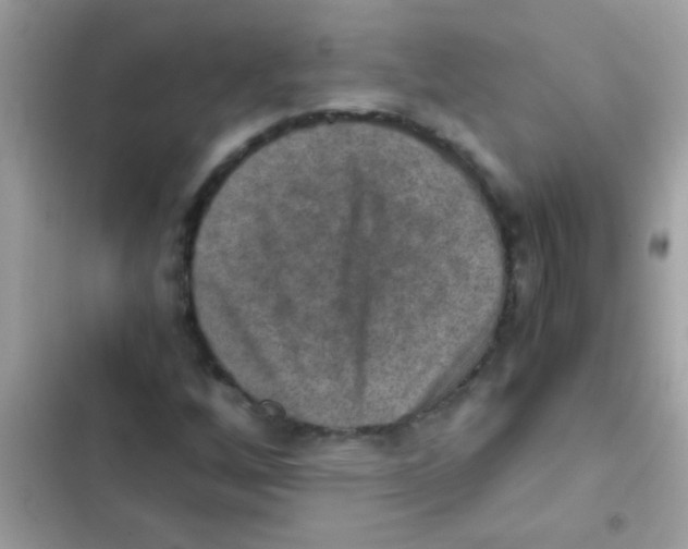 X0000103141256200809191956