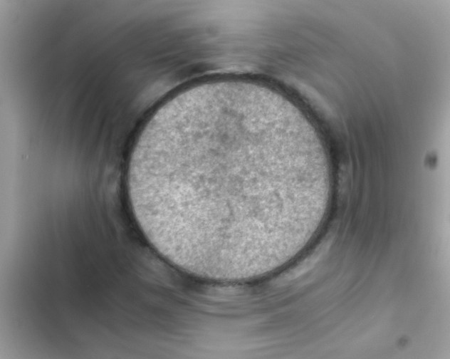 X0000103141257200809191956