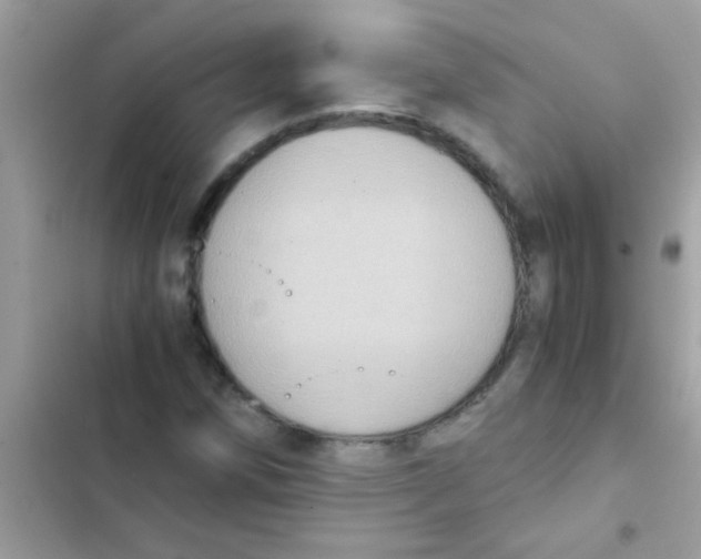 X0000103141258200809191956