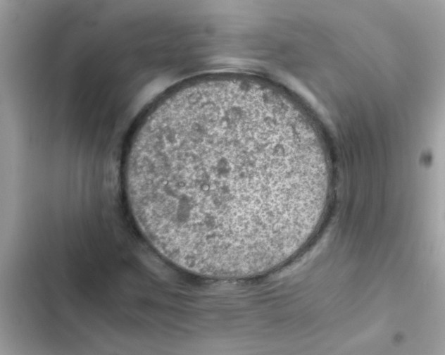 X0000103141259200809191956