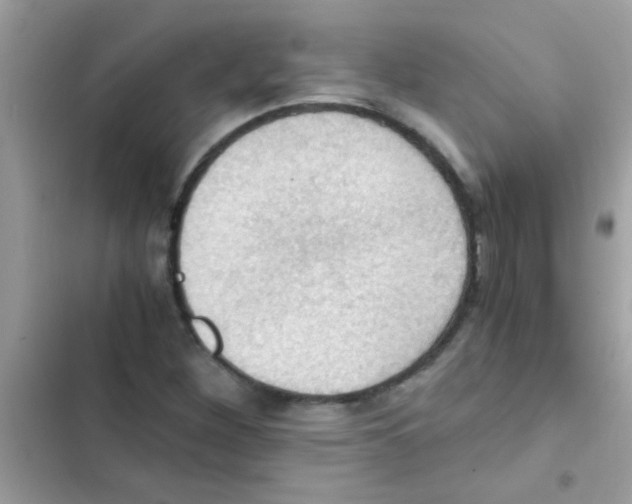 X0000103141260200809191956