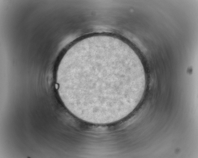 X0000103141261200809191956