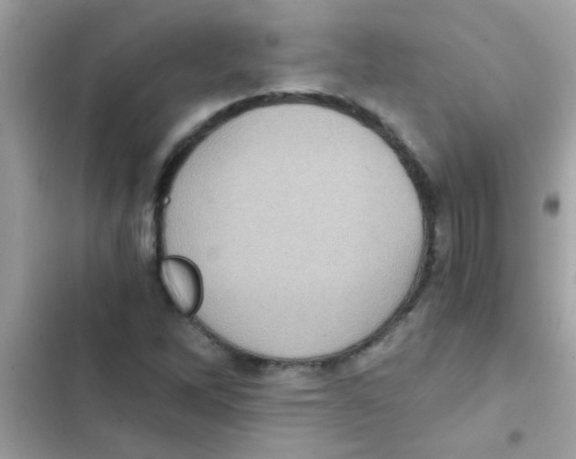 X0000103141262200809191956