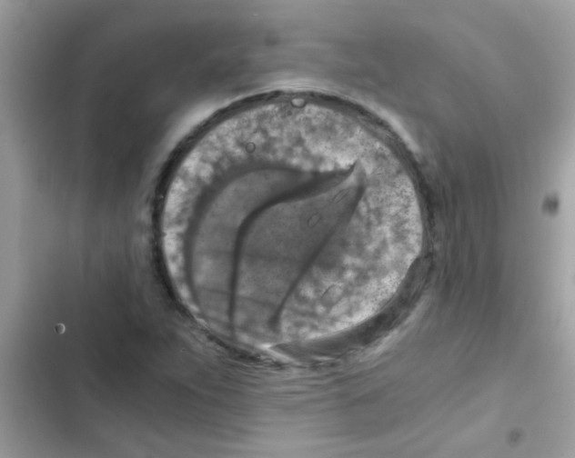 X0000103141263200809191956