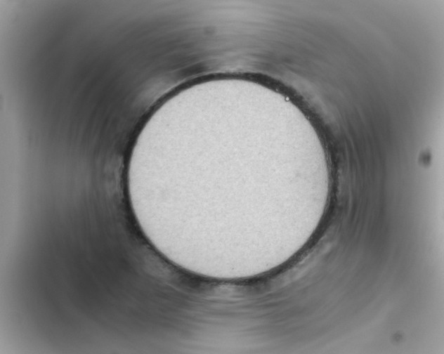 X0000103141265200809191956