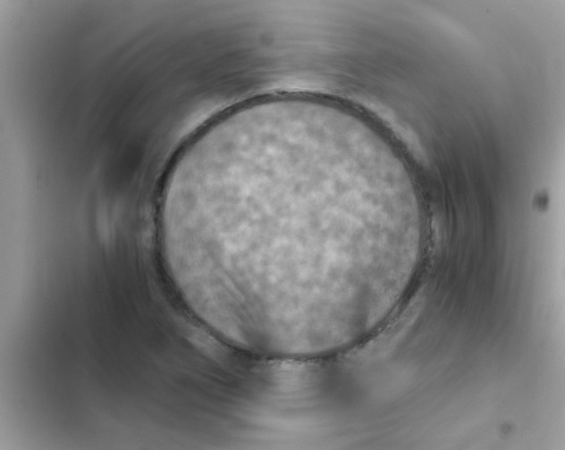 X0000103141266200809191956