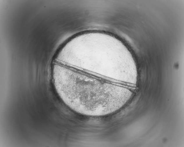 X0000103141267200809191956