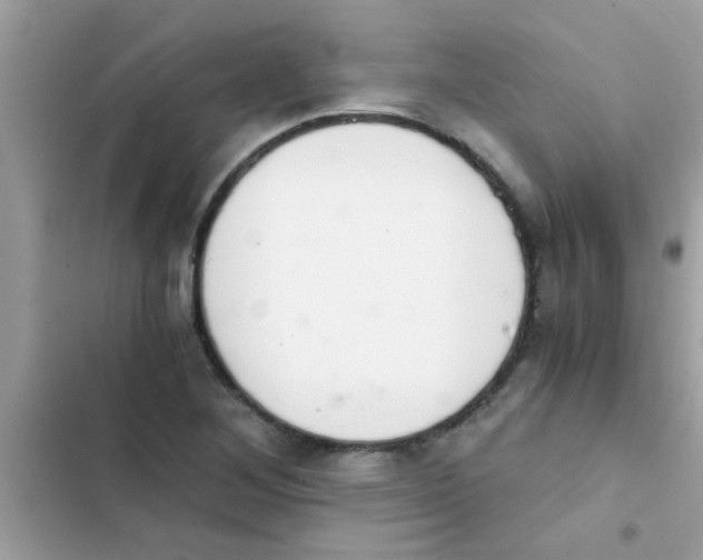 X0000103141268200809191956