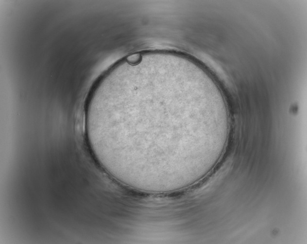 X0000103141269200809191956