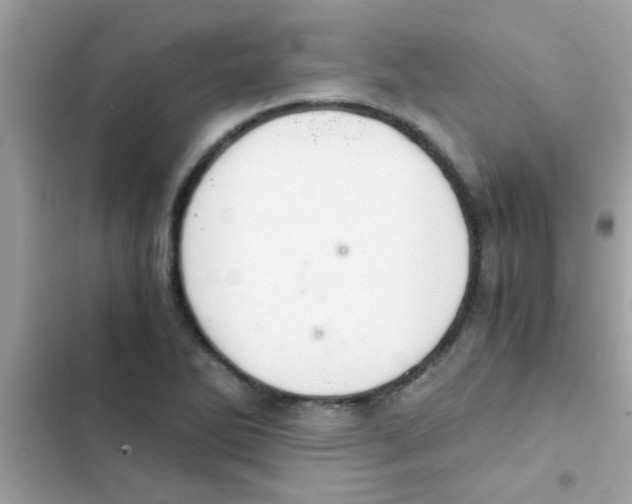 X0000103141270200809191956