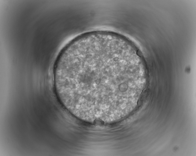 X0000103141271200809191956