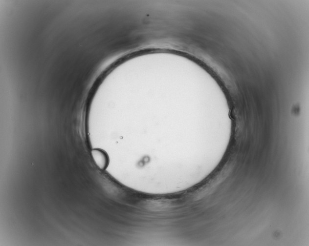 X0000103141272200809191956