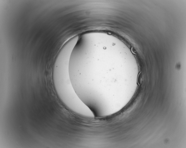 X0000103141273200809191956