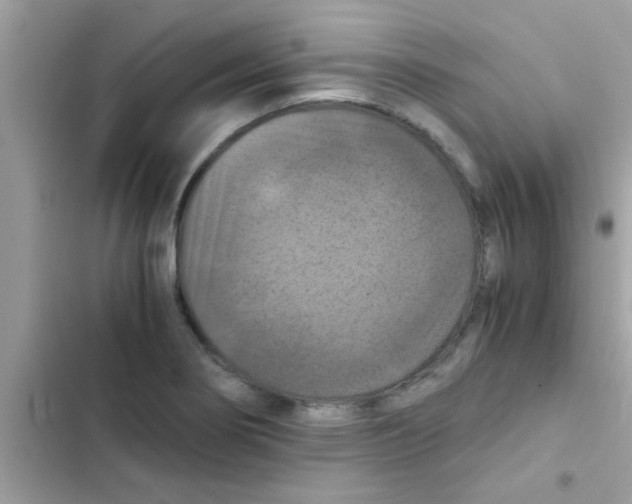 X0000103141274200809191956