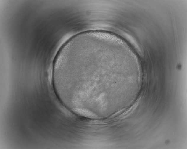 X0000103141275200809191956