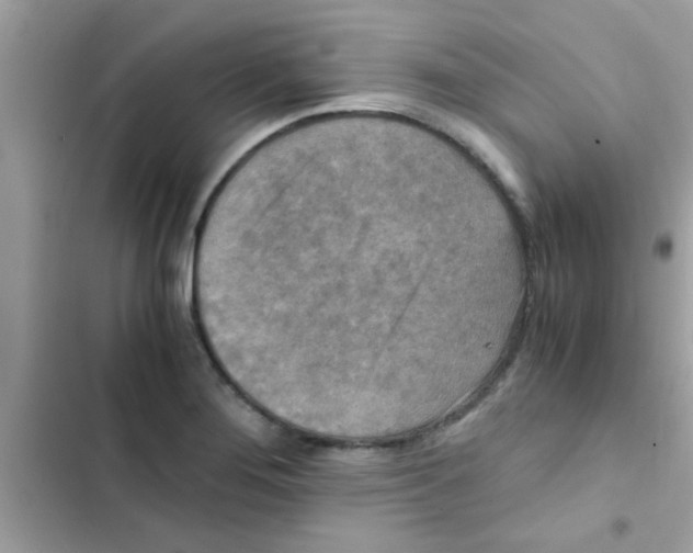 X0000103141276200809191956