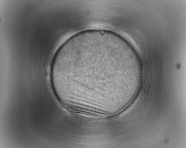 X0000103141277200809191956