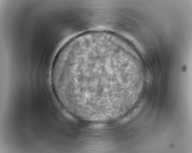 X0000103141278200809191956