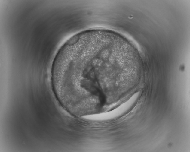 X0000103141279200809191956