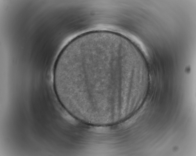 X0000103141280200809191956