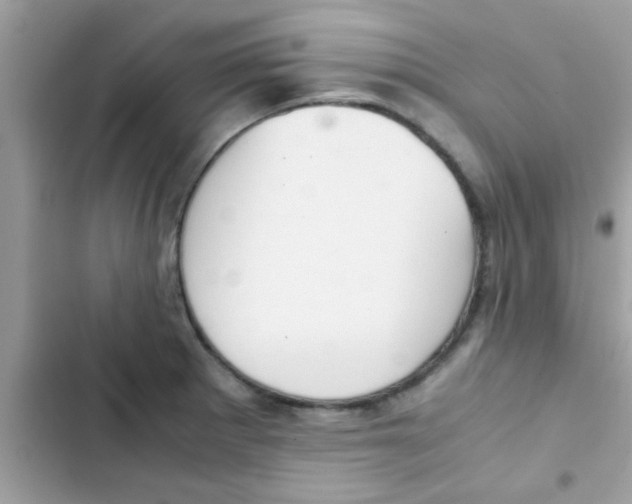 X0000103141281200809191956