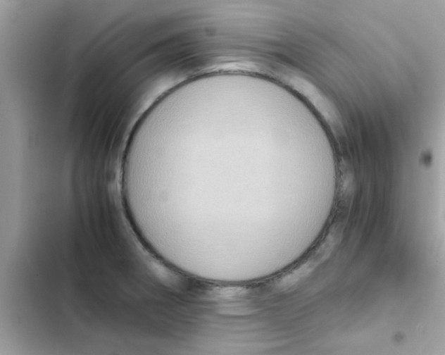 X0000103141282200809191956