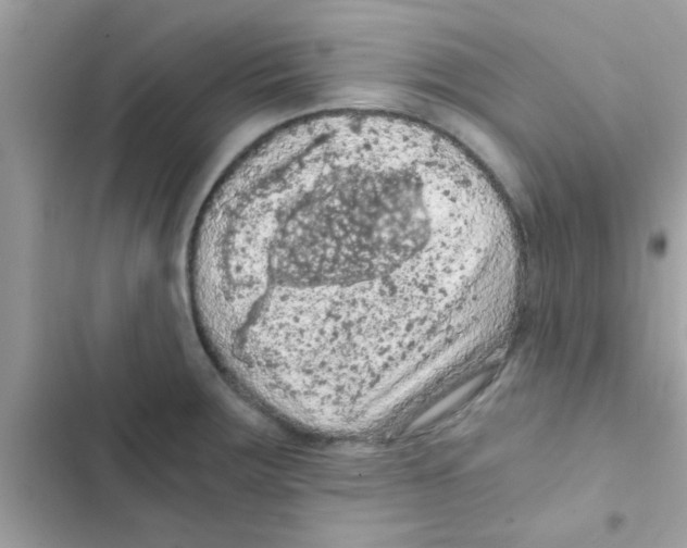 X0000103141283200809191956