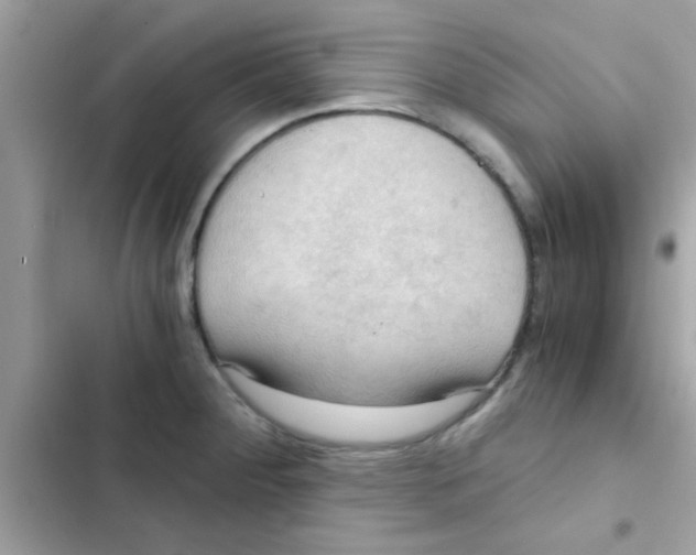 X0000103141284200809191956