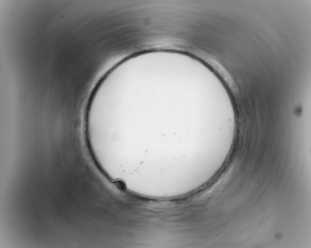 X0000103141285200809191956