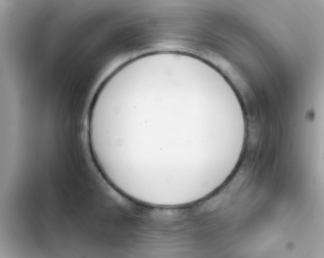 X0000103141286200809191956