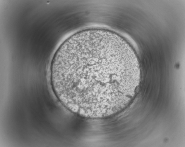 X0000103141287200809191956