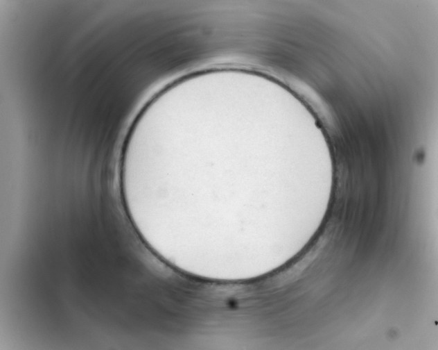 X0000103141288200809191956