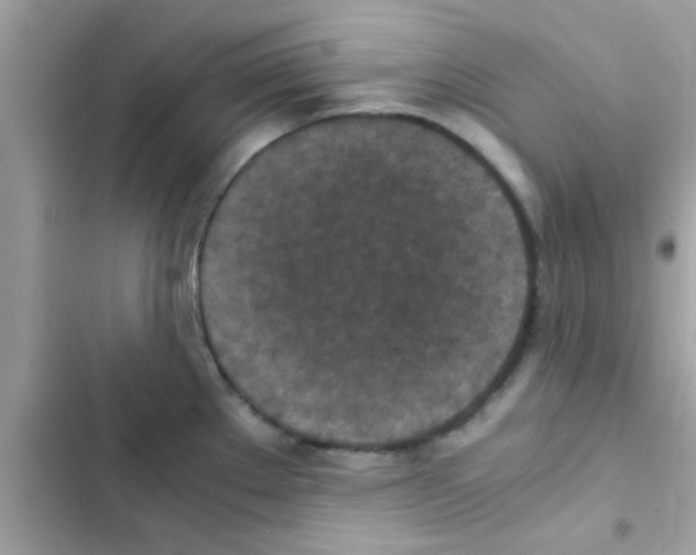 X0000103141289200809191956