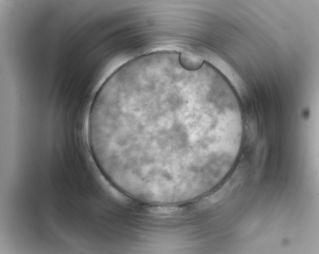 X0000103141290200809191956