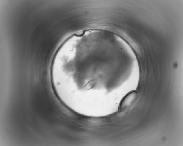 X0000103141291200809191956