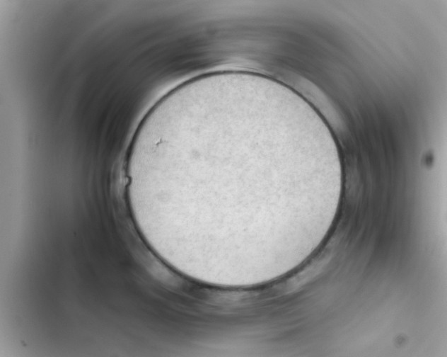 X0000103141292200809191956