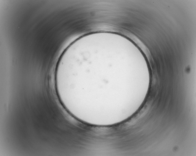 X0000103141293200809191956