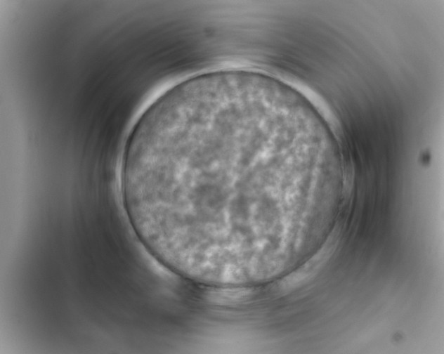 X0000103141294200809191956