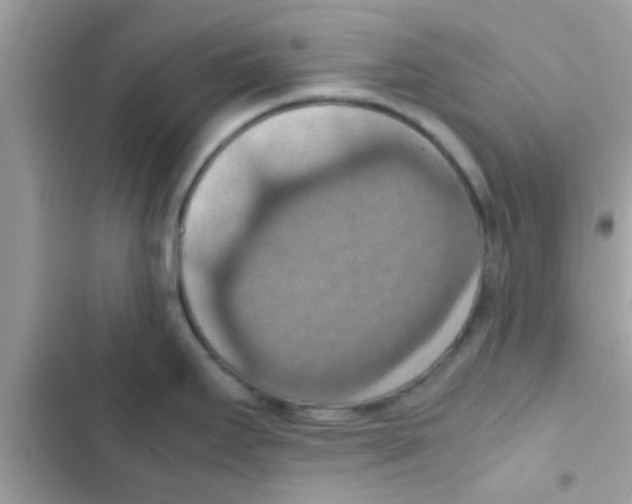 X0000103141295200809191956