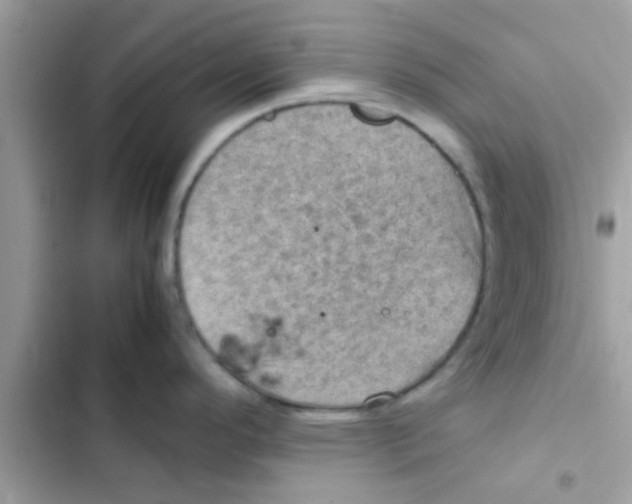 X0000103141296200809191956