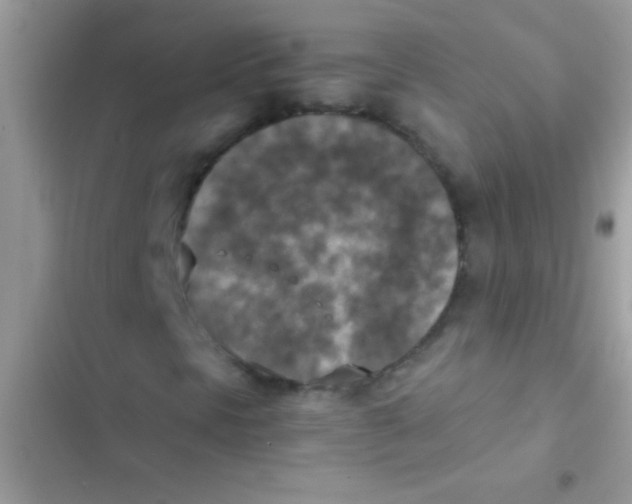 X0000103141297200809191955