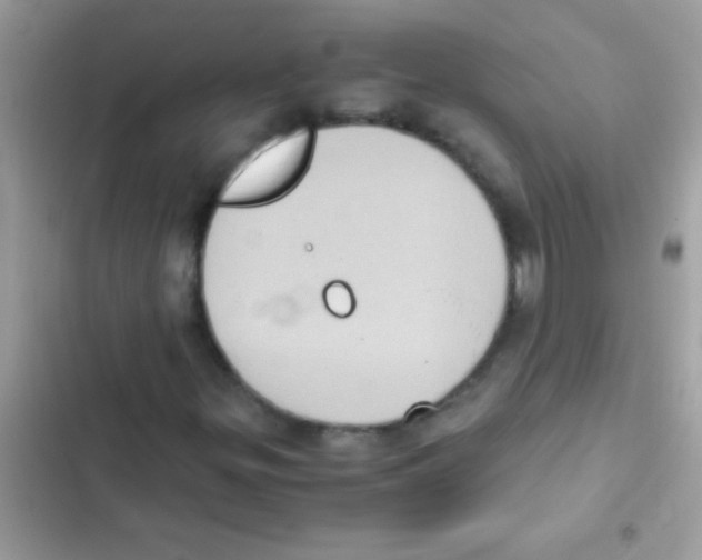 X0000103141299200809191955