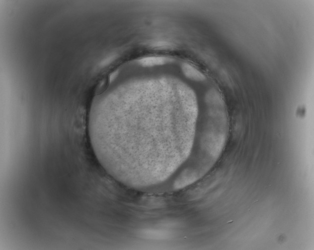 X0000103141301200809191955