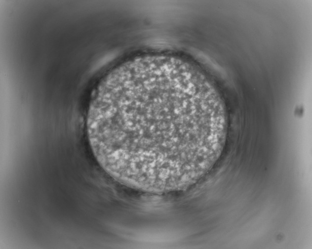 X0000103141302200809191955